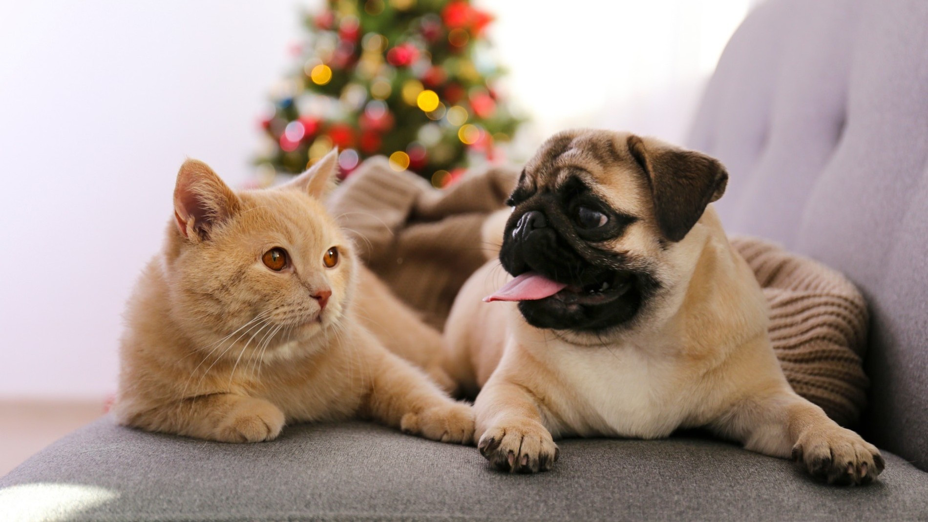 Фото: Getty Images