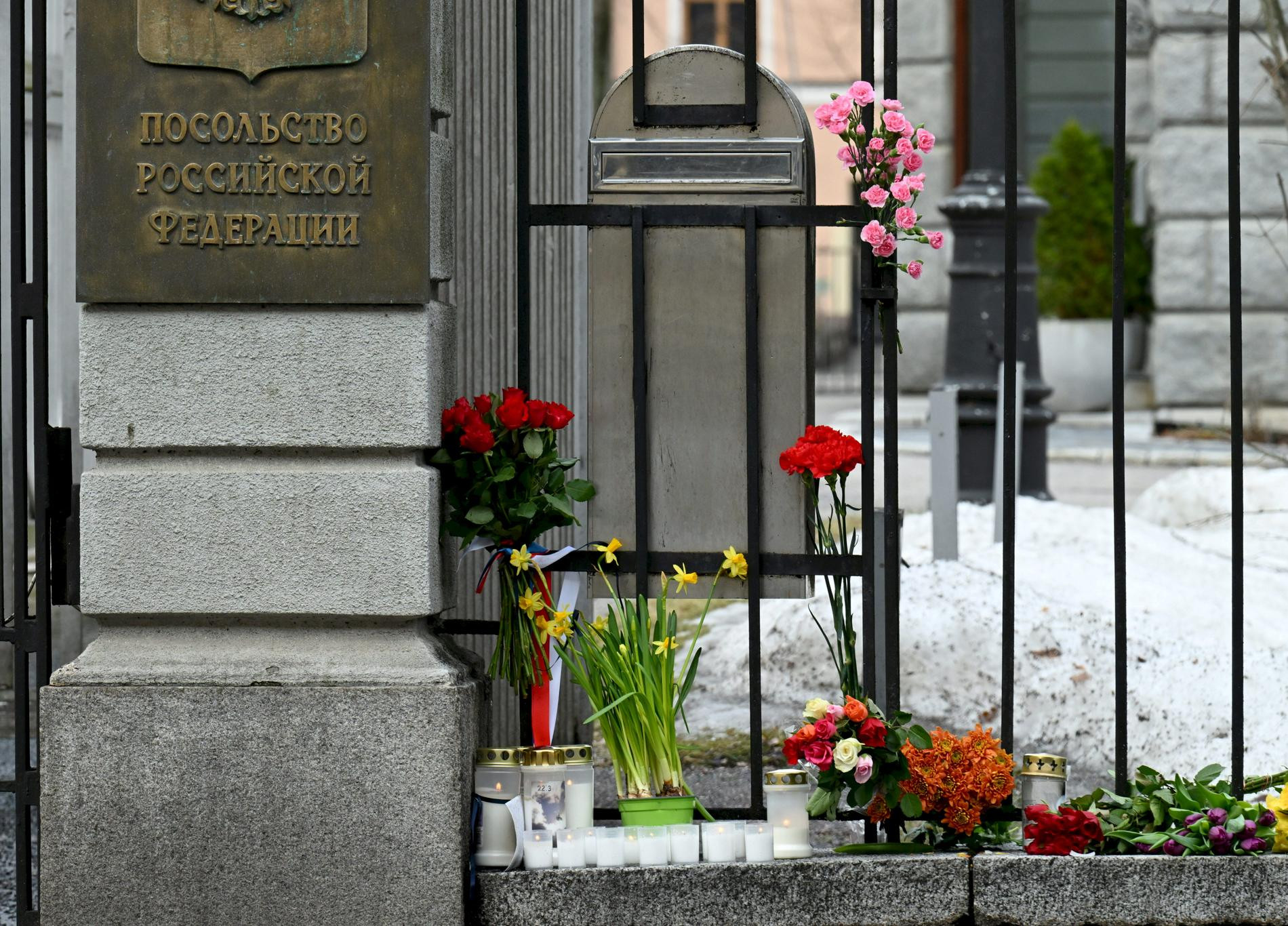 Фото: Legion-media