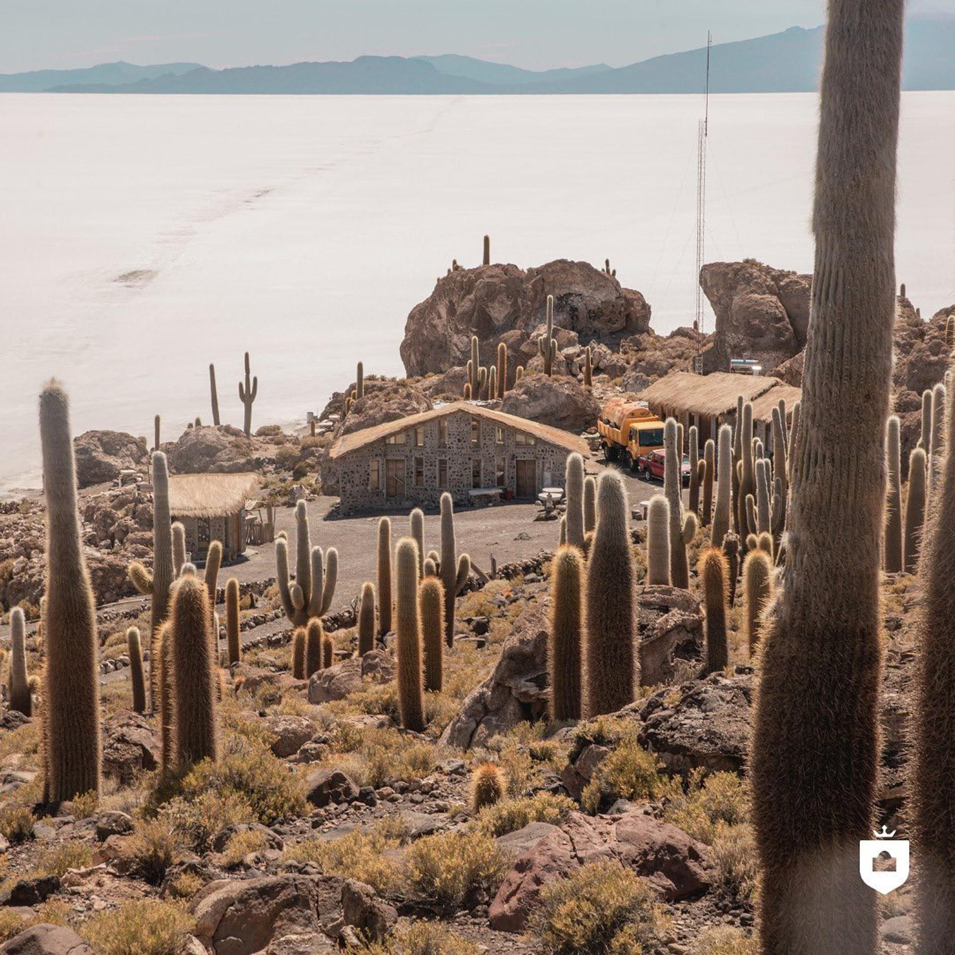 Фото: Инстаграм (запрещен в РФ) @palaciodesal