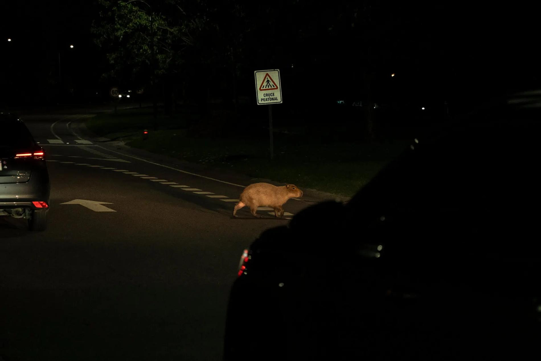 Нордельта. Фото: The New York Times