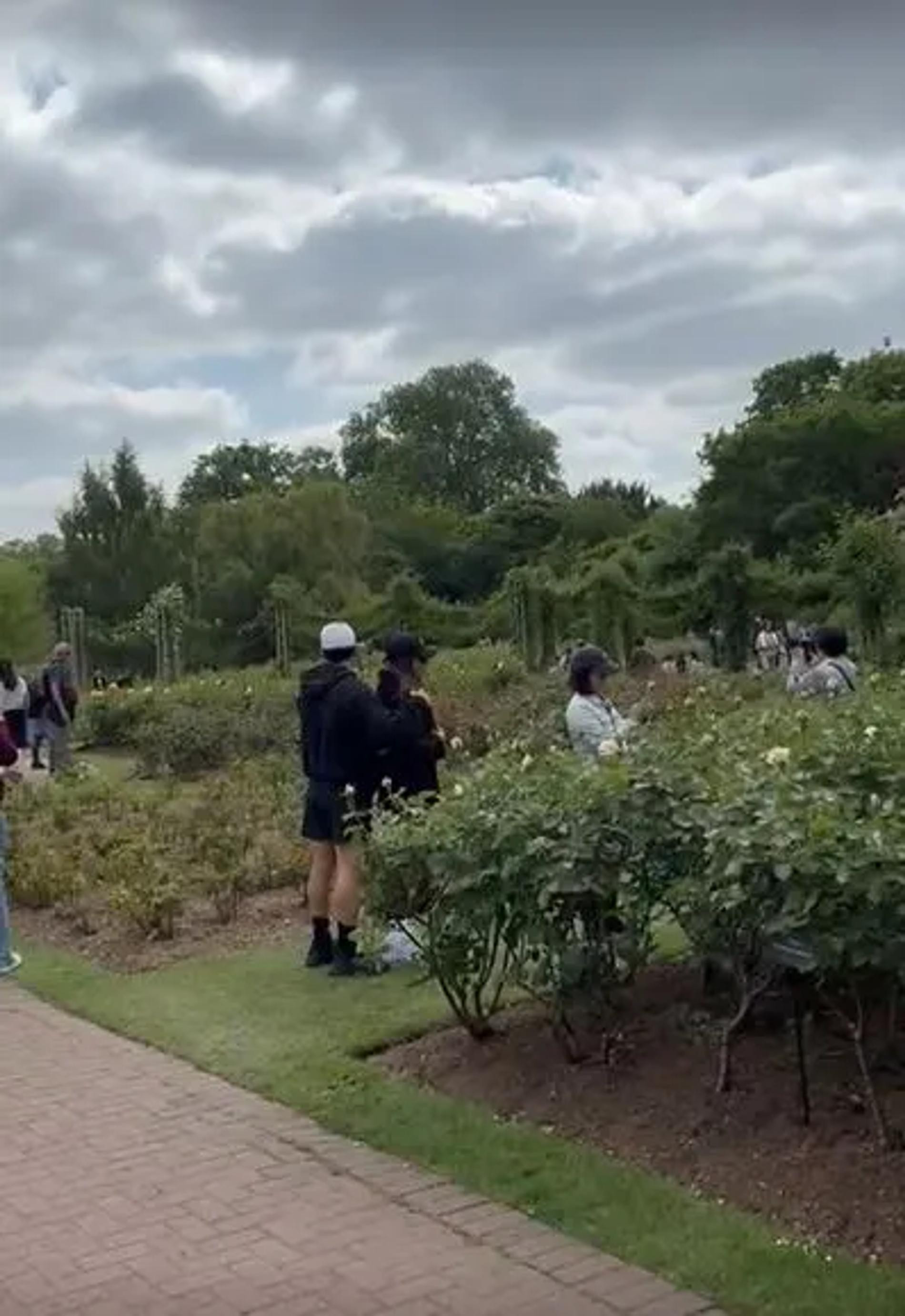 Джессика Альба и её новый возлюбленный. Фото: The Sun