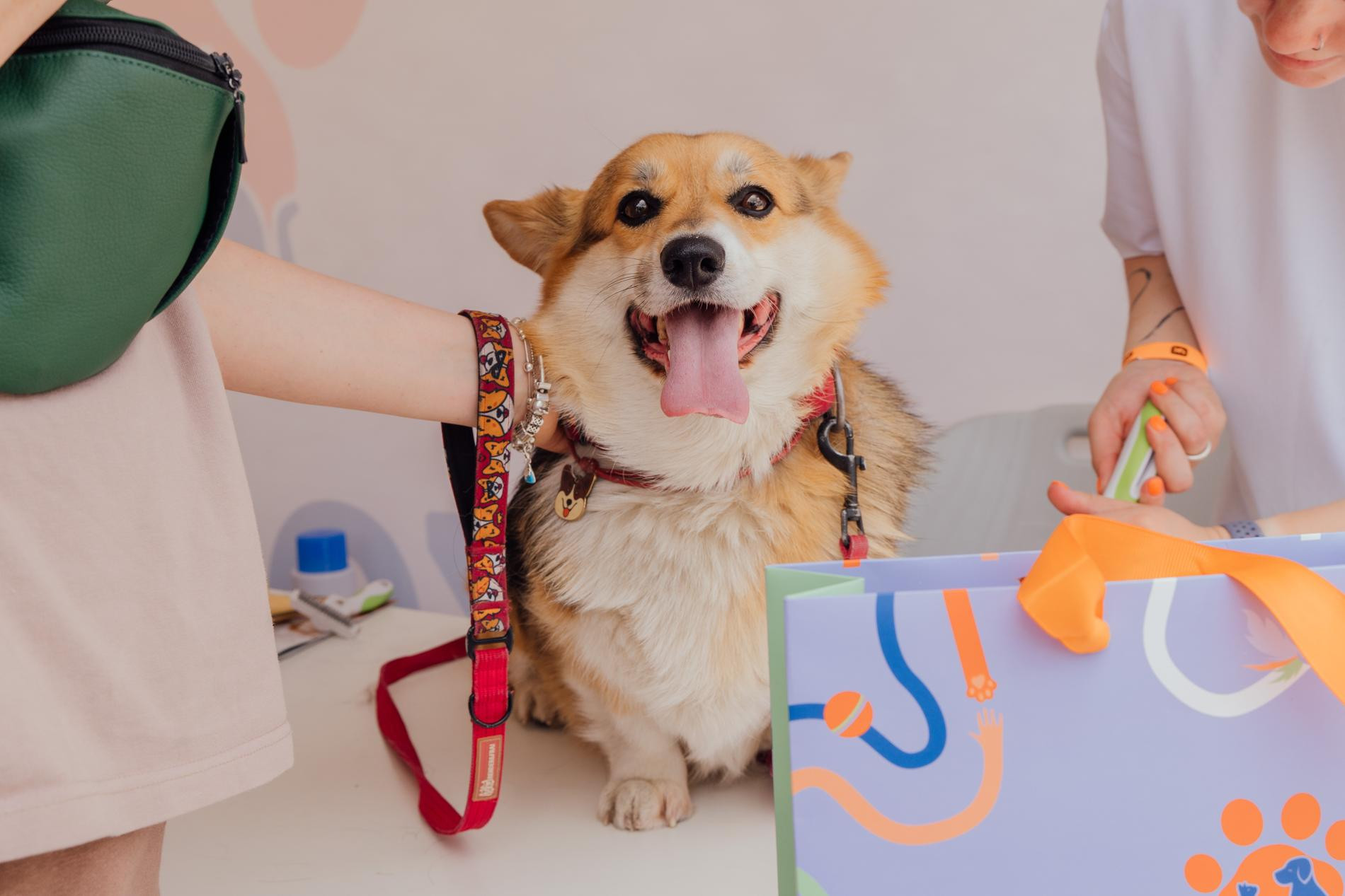 Участник фестиваля «Лапки». Фото: пресс-служба