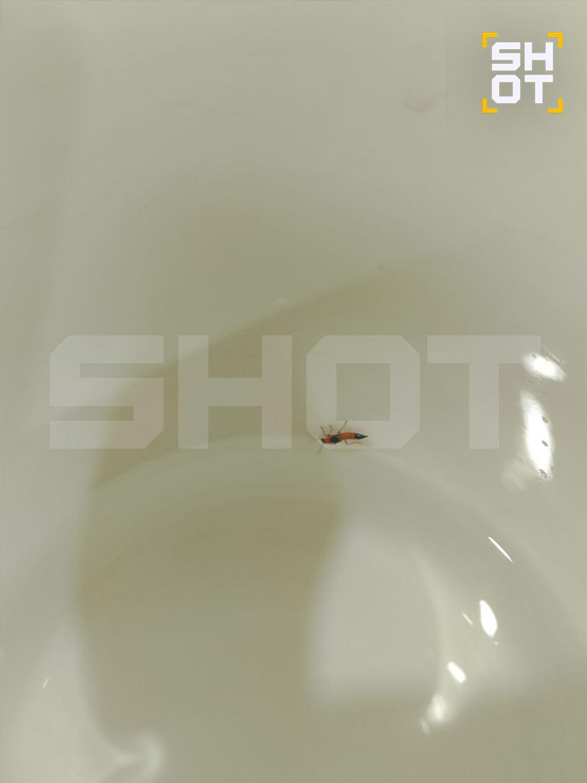 Фото: Telegram-канал Shot