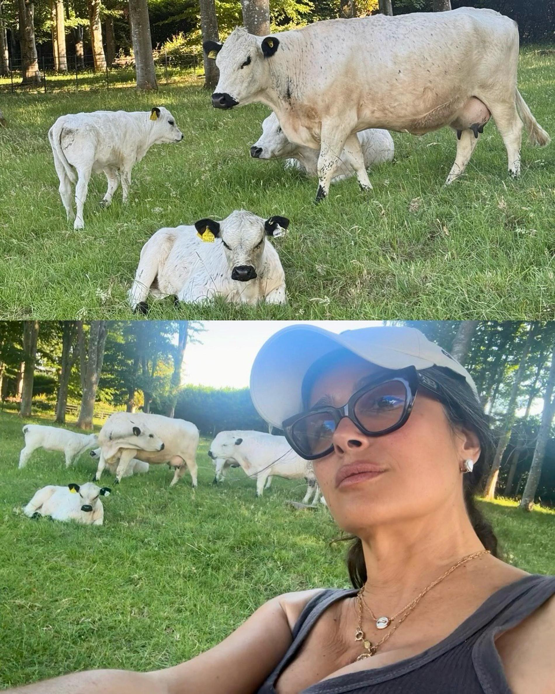Сальма Хайек. Фото: Instagram (запрещён в РФ) @salmahayek