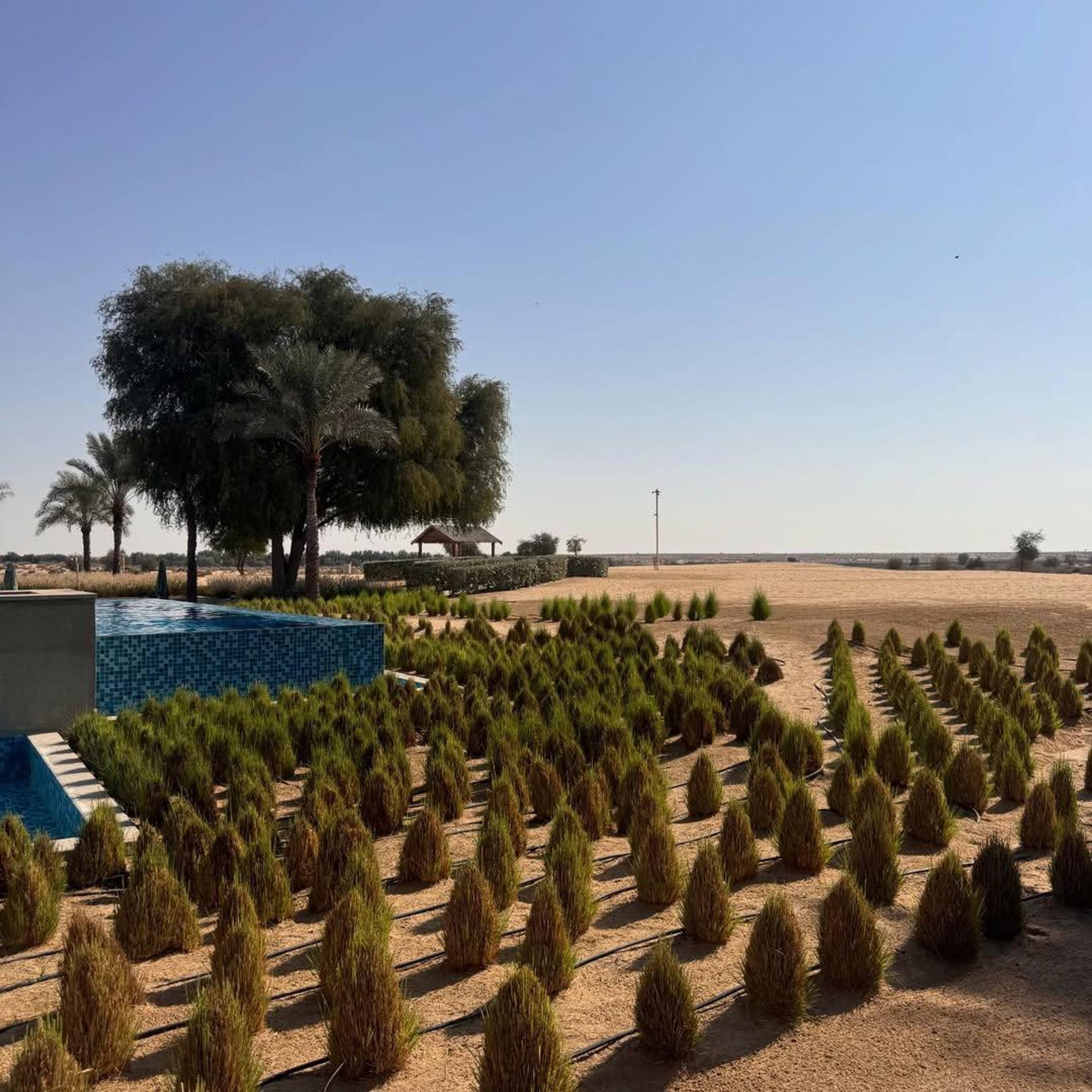 Фото: ТГ-канал annsemenovich