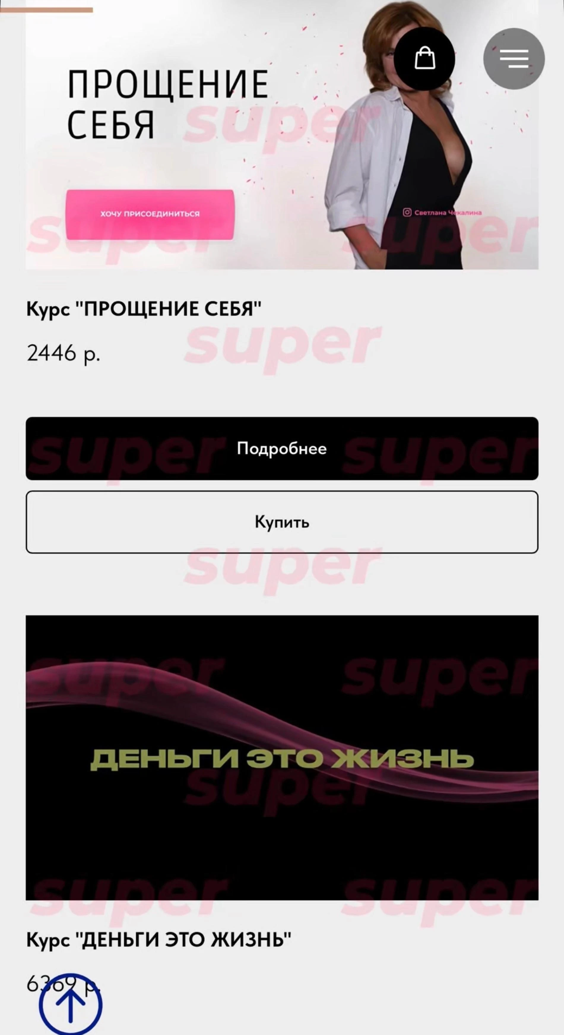 Список курсов, которые продаёт Светлана Чекалина. Фото: сайт героини материала