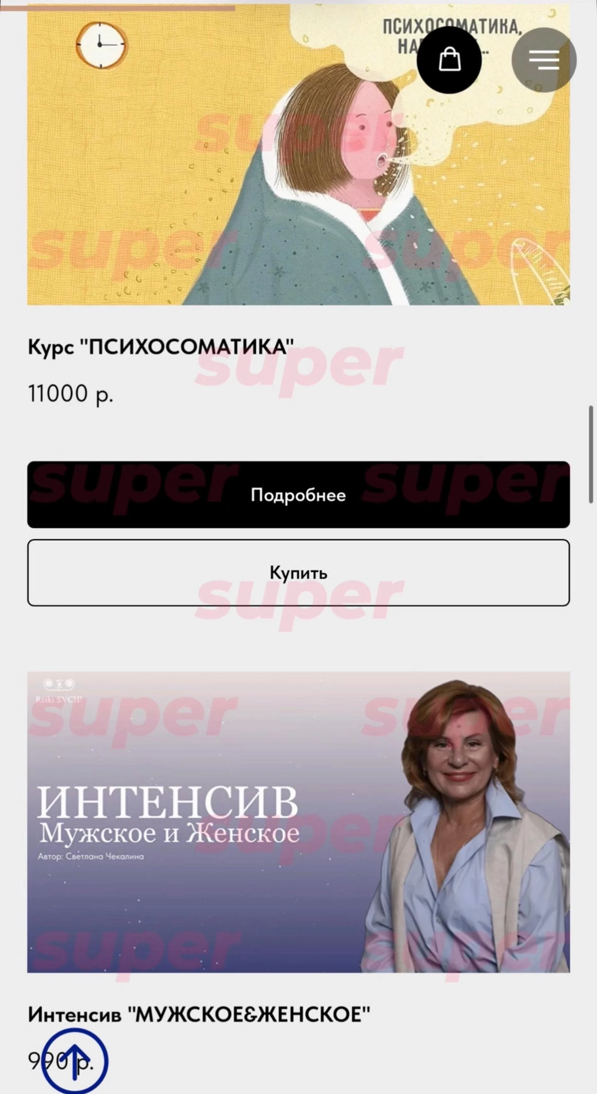 Список курсов, которые продаёт Светлана Чекалина. Фото: сайт героини материала