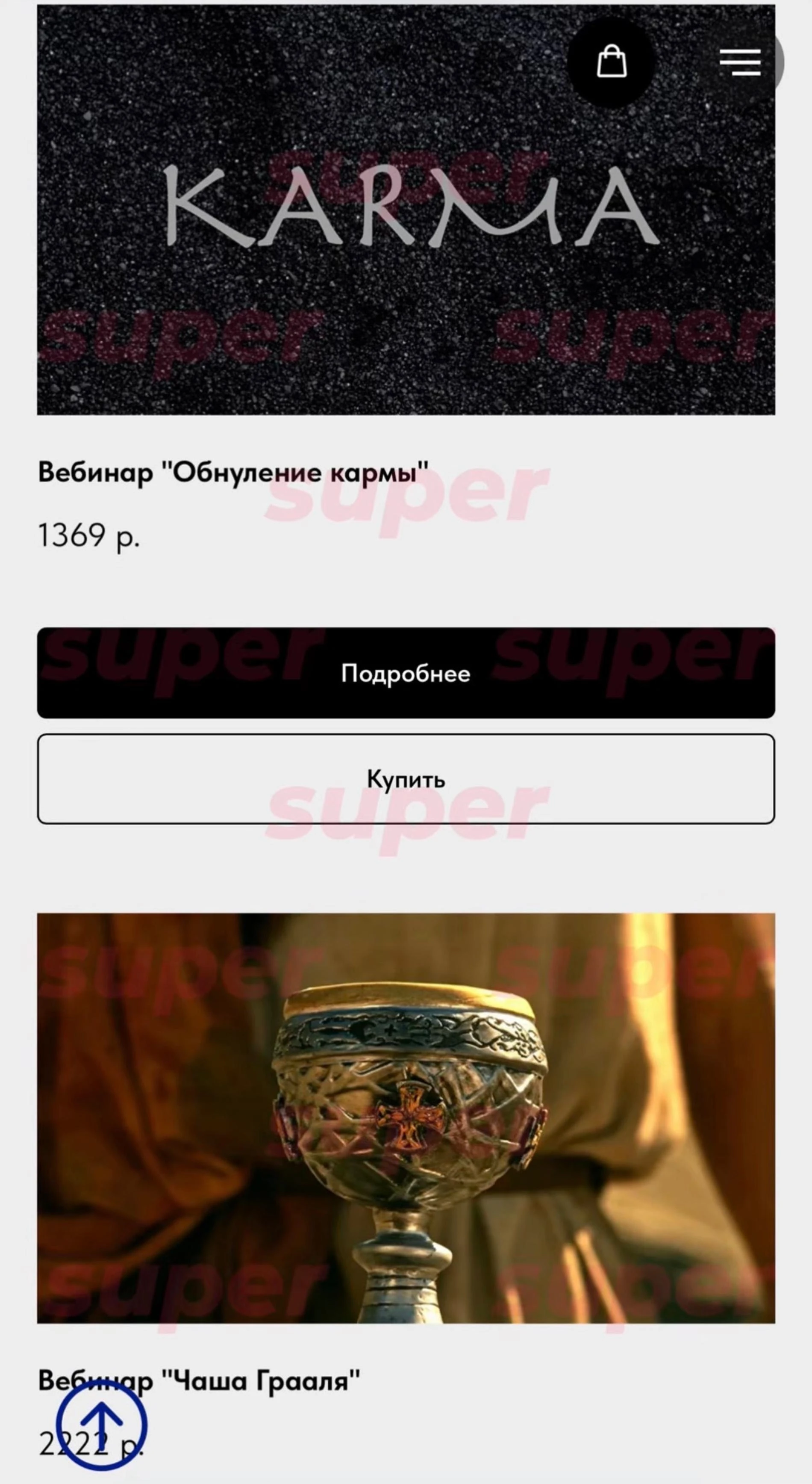 Список курсов, которые продаёт Светлана Чекалина. Фото: сайт героини материала