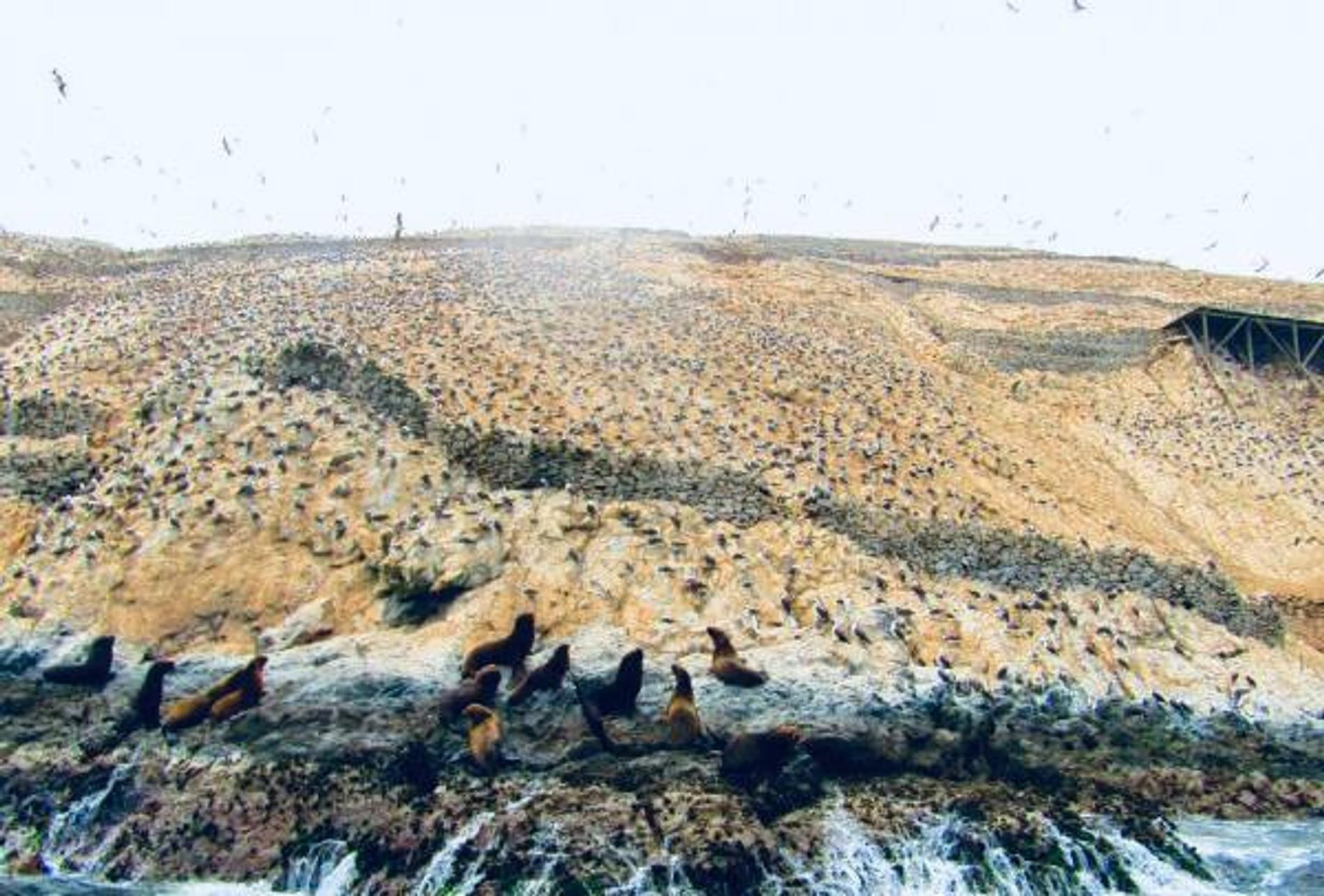 Фото: Telegram-канал Samoylovaoxana